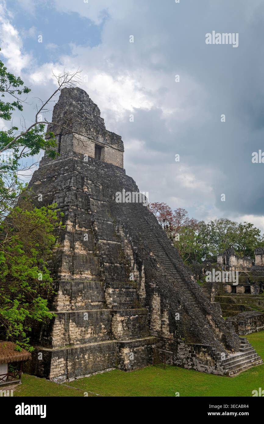 Temple Grand Jaguar ou Temple I, Tikal, Guatemala. Banque D'Images
