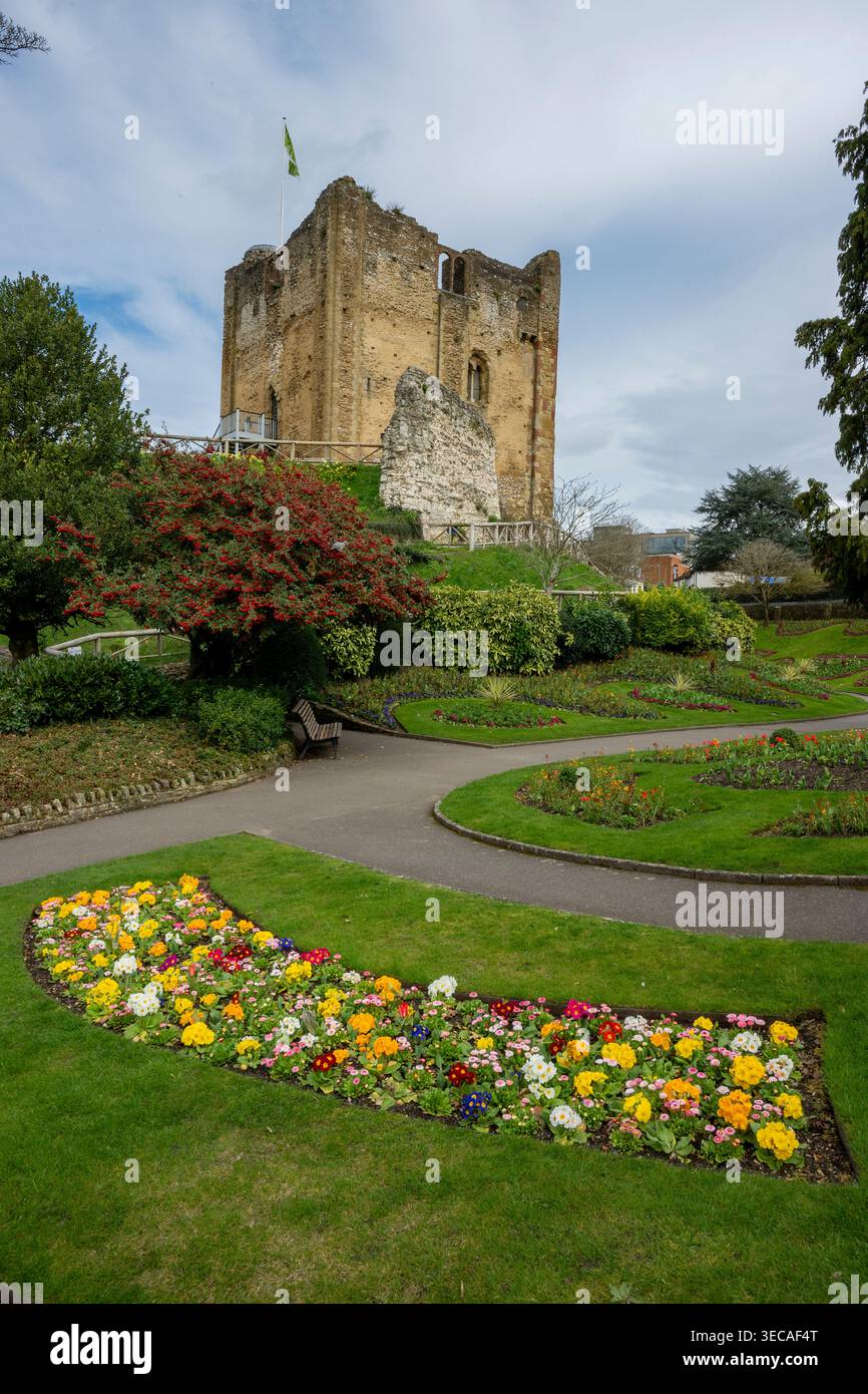 Château de Guildford avec des parterres de fleurs colorées au premier plan, centre-ville de Guildford, Surrey, Angleterre, Royaume-Uni Banque D'Images