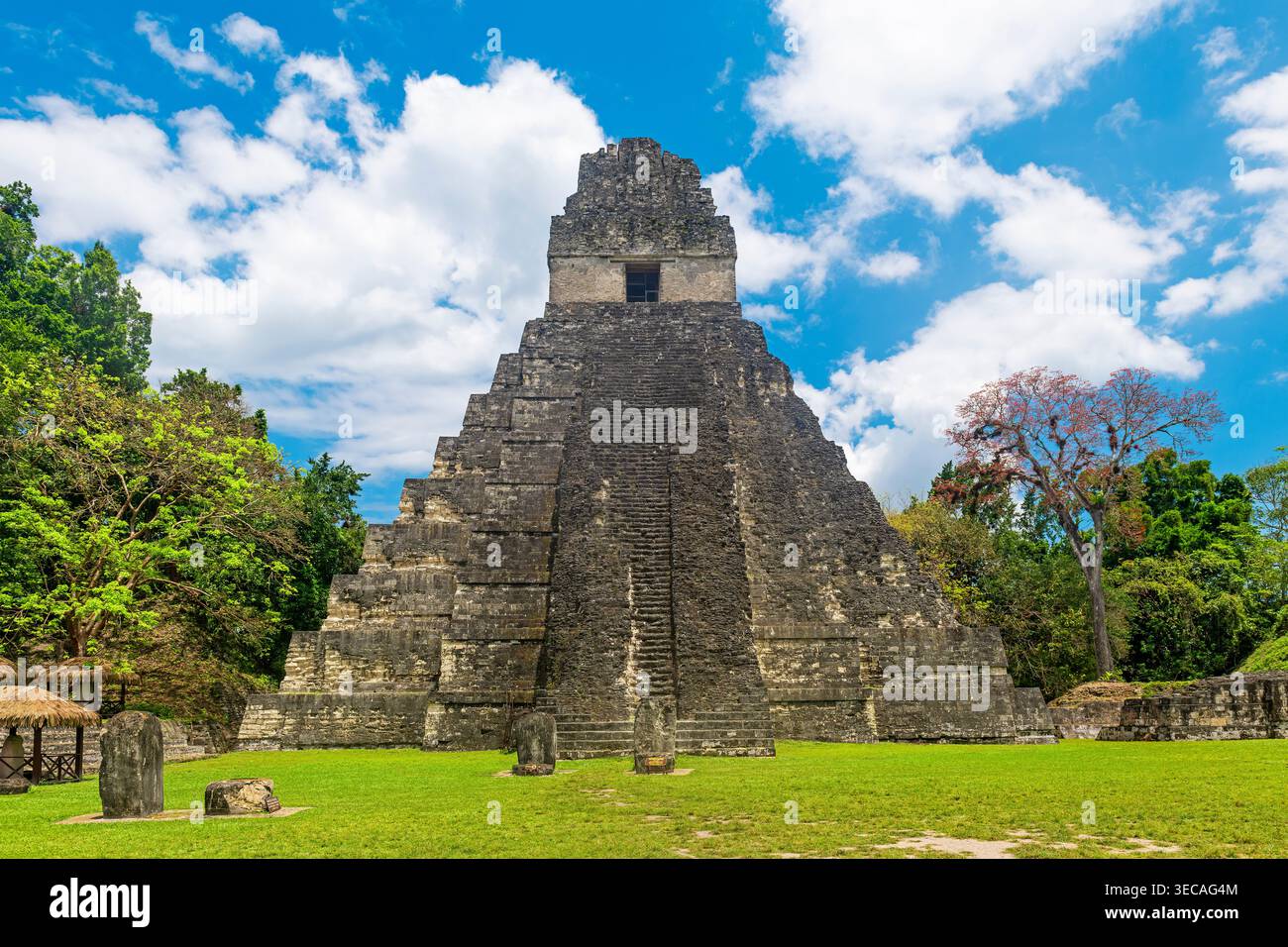 Temple de la Grande Pyramide Jaguar, Tikal, Guatemala. Banque D'Images