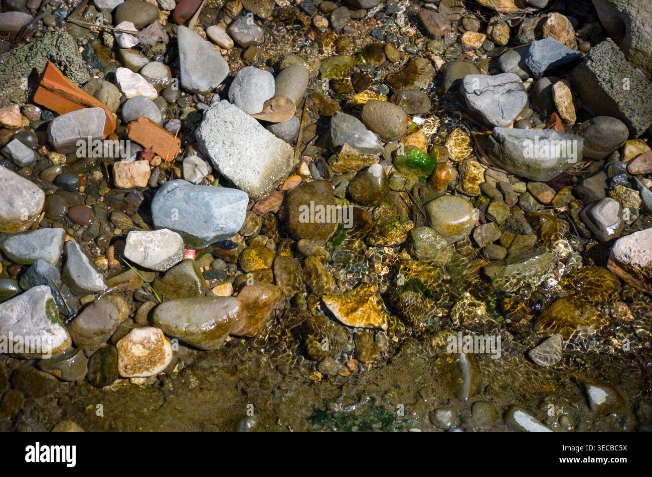 Pierres colorées et rochers dans l'eau peu profonde de la rivière Banque D'Images