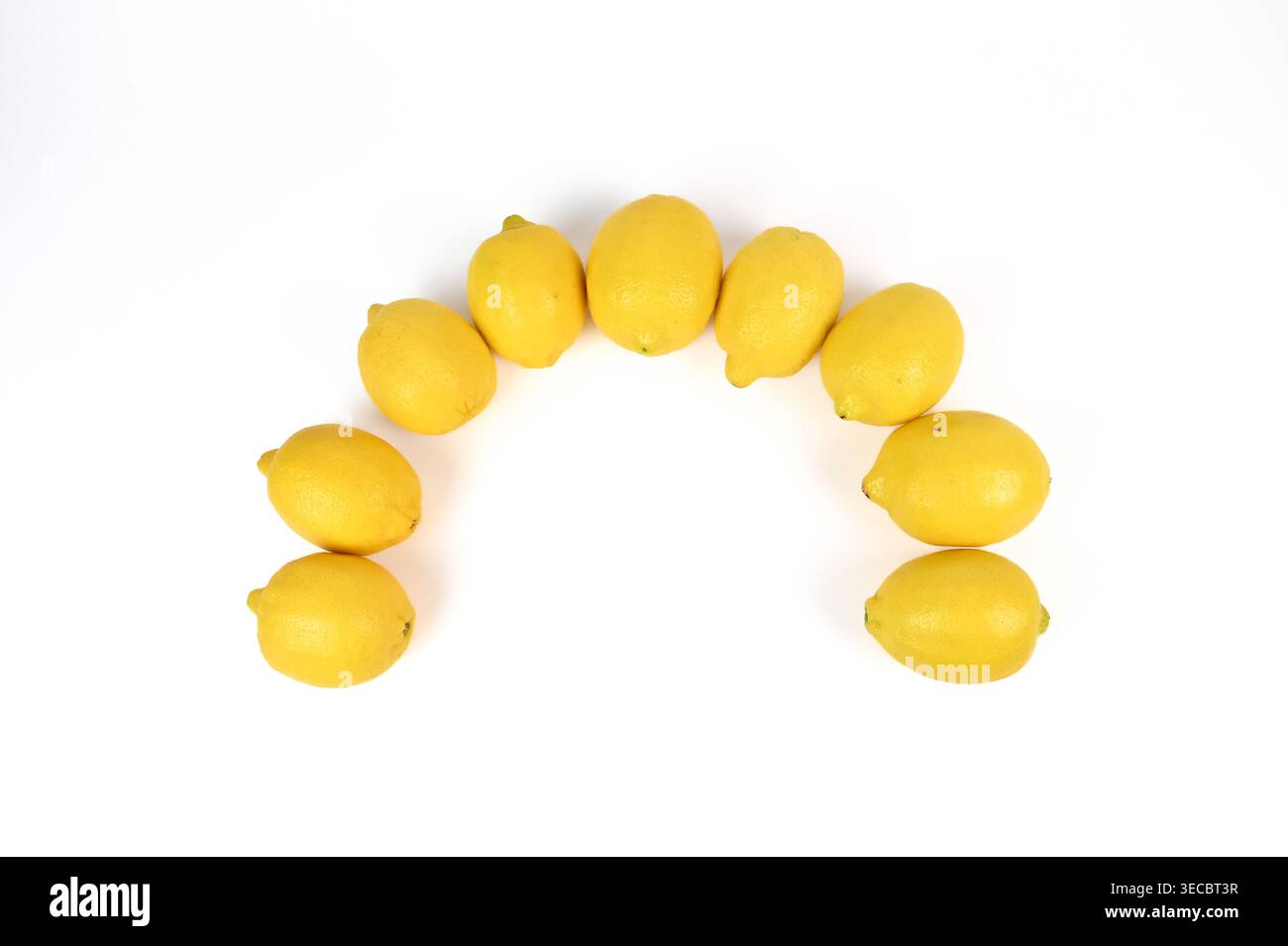 Rangée de fruits de citron jaune vif entiers sur fond blanc Banque D'Images