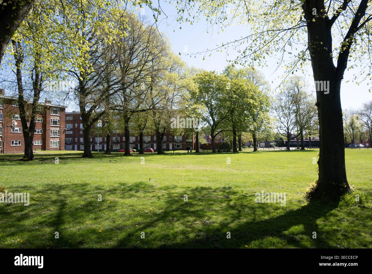 The Recreation Ground, Nuneaton, Warwickshire, Angleterre, Royaume-Uni Banque D'Images