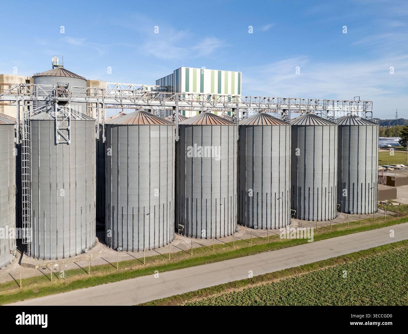 Les silos à grains sont hauts dans une installation de stockage entourée de champs. Cette vue aérienne montre leur structure et leur disposition. Banque D'Images