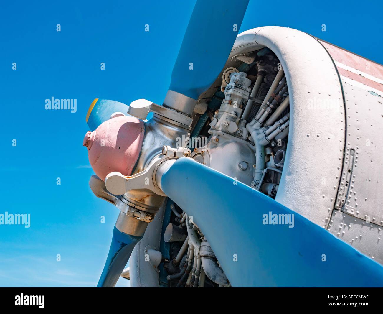 Vue détaillée d'un vieux moteur d'avion avec des pales d'hélice bleu vif. Banque D'Images