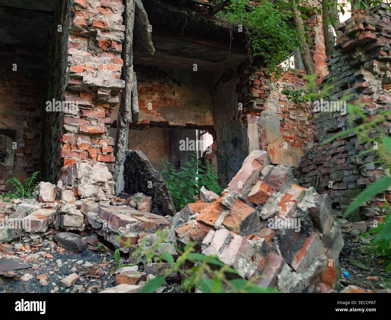 Murs de briques en ruine et débris dispersés d'un bâtiment abandonné repris par une végétation verdoyante abondante Banque D'Images