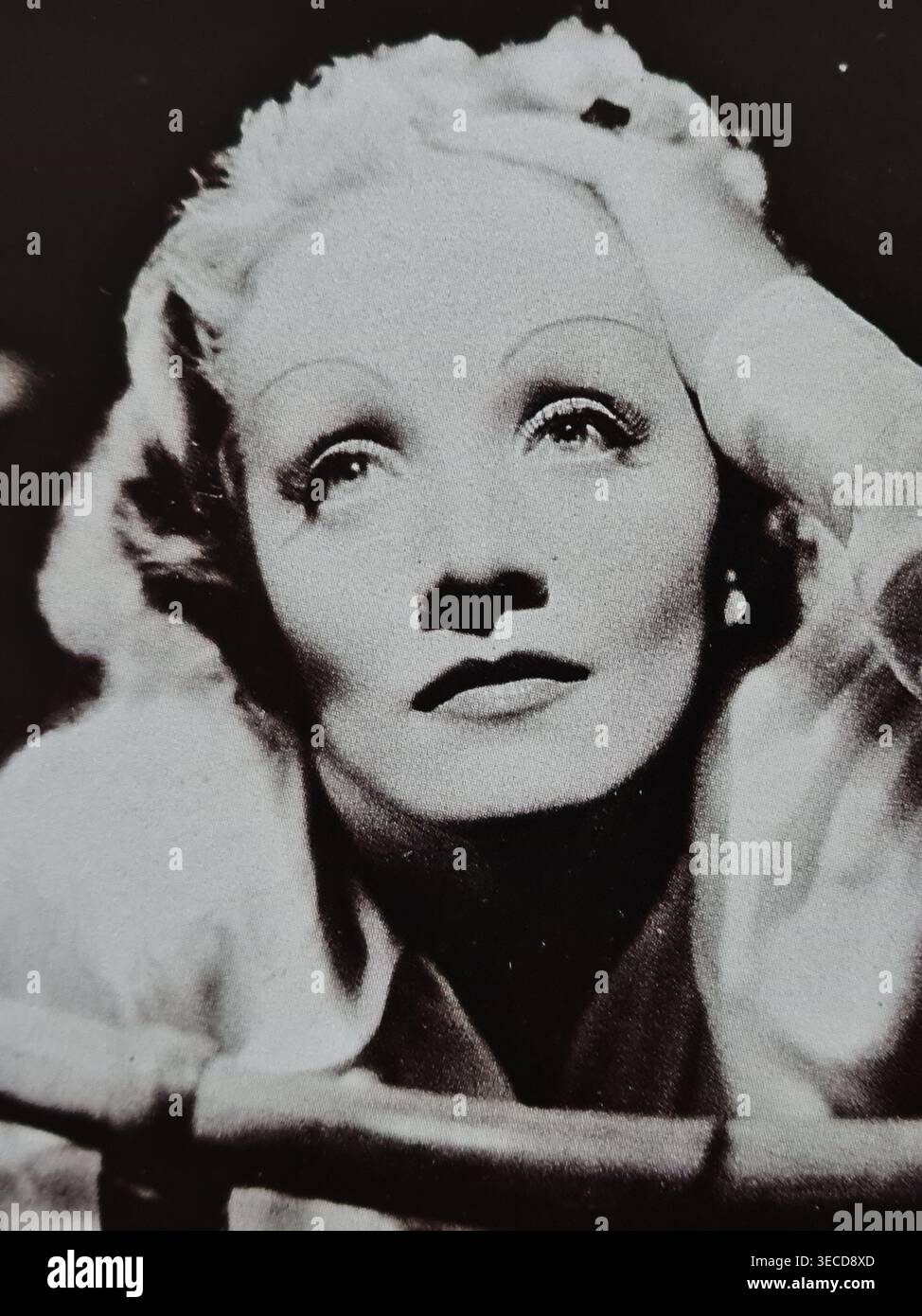 Marlene Dietrich. Actrice et chanteuse allemande et américaine dont la carrière s'est étendue sur près de sept décennies. Banque D'Images