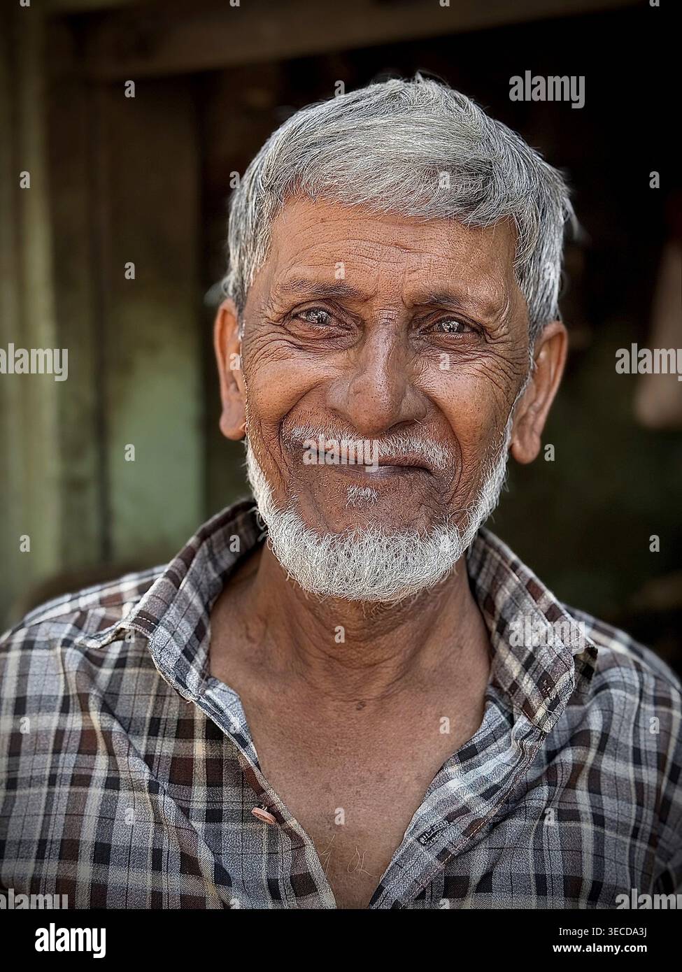 Un homme âgé aux cheveux gris sourit chaudement dans une chemise à carreaux, Inde Banque D'Images