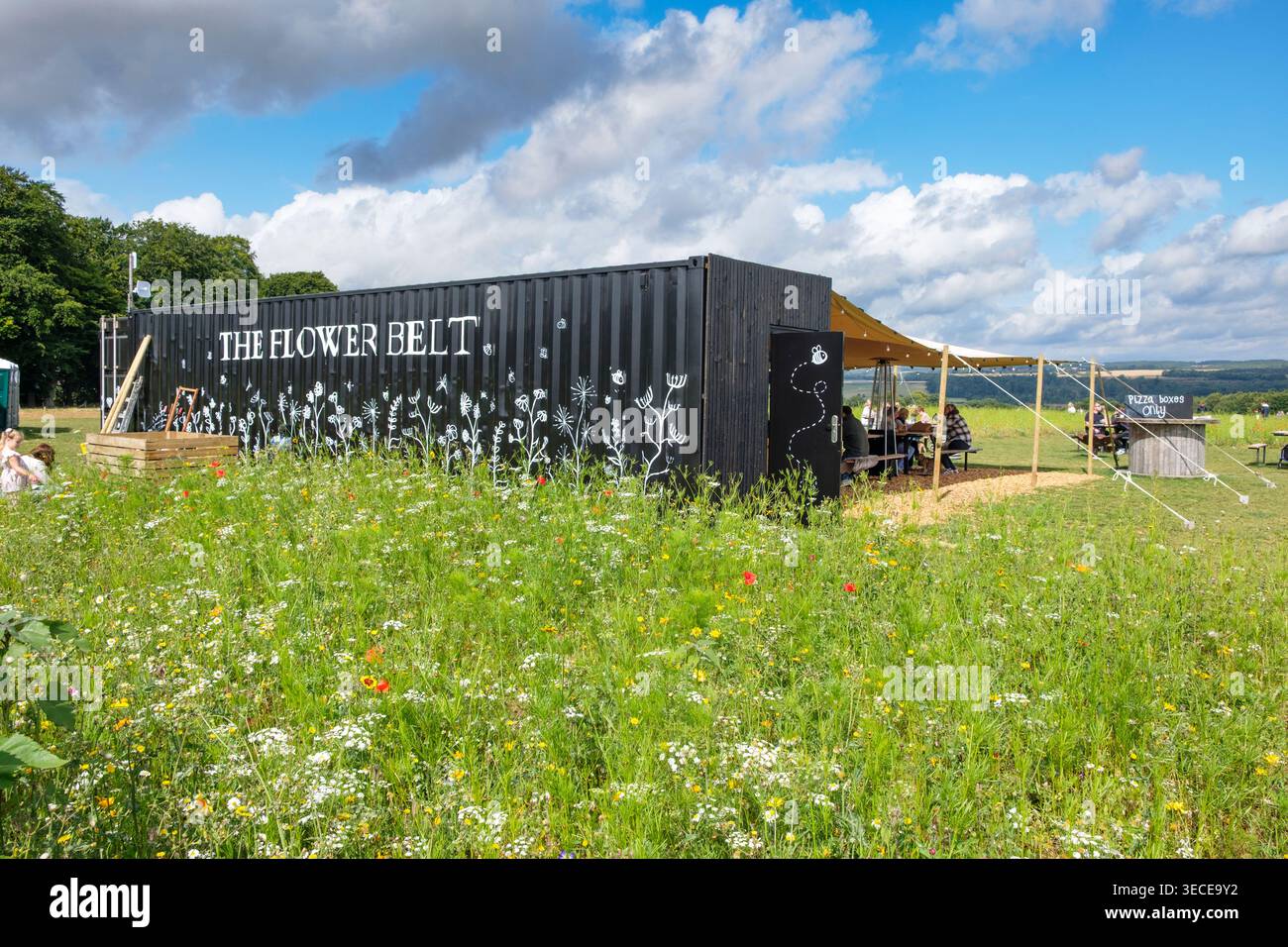 HE Flower Belt près de Helmlsley, où le public peut cueillir ses propres fleurs sauvages pendant l'été près de Helmsley, dans le North Yorkshire Banque D'Images