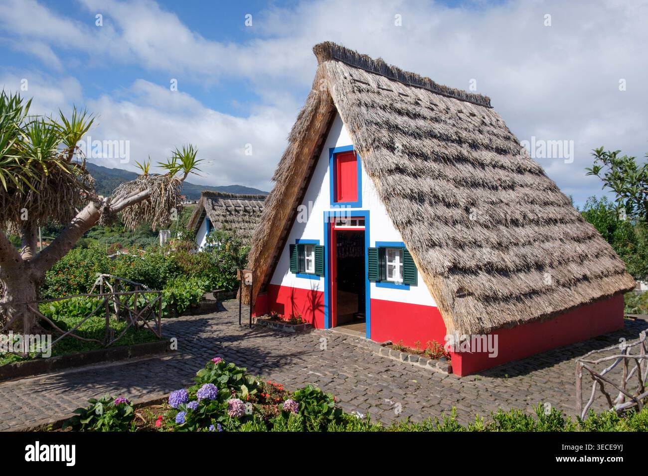 Maisons traditionnelles de Madère, connues sous le nom de casa de Colmo. Banque D'Images