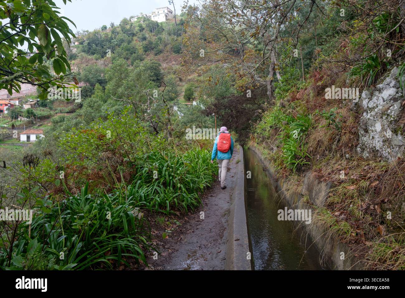 Un touriste randonnée à côté d'une irrigation Levada sur l'île verdoyante de Madiera Banque D'Images