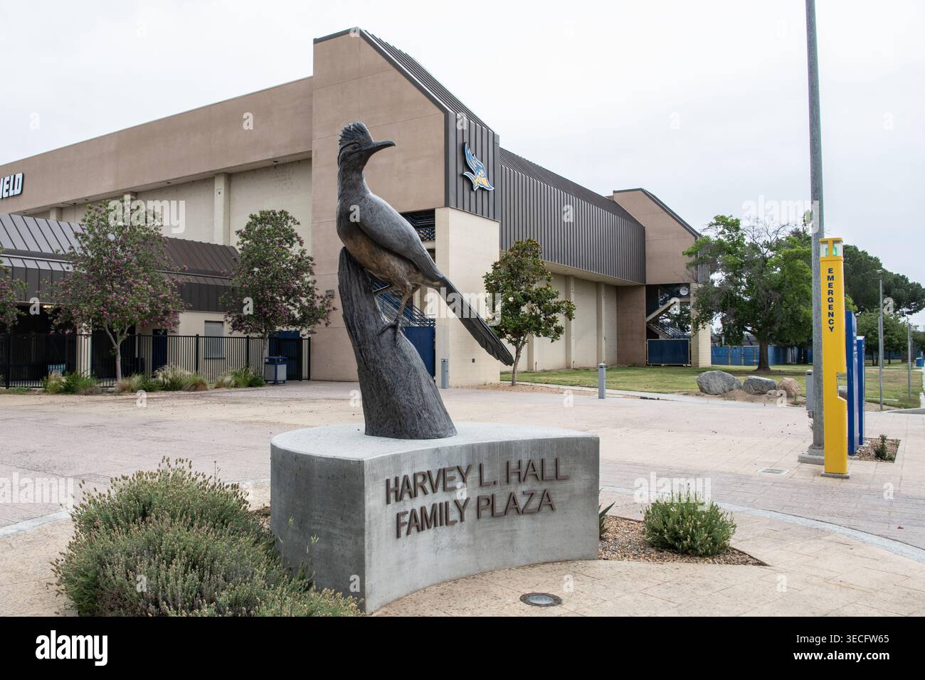 Une statue en bronze d'un coureur de route, la mascotte de l'école, dans Harvey Hall Plaza sur le campus de l'Université d'État de Californie Bakersfield. Banque D'Images
