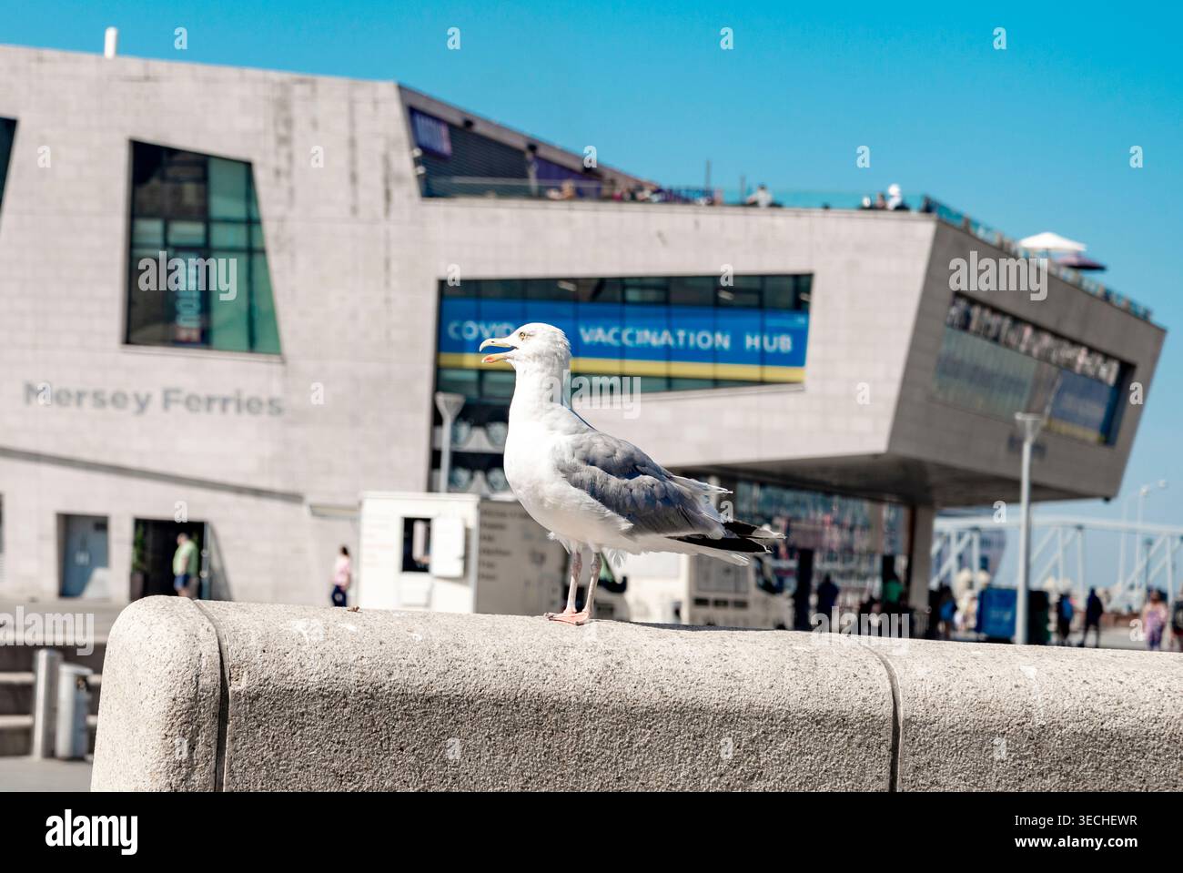 Merseyside, Angleterre, Royaume-Uni-août 10 2022 : été sur une chaude journée ensoleillée le long du front de mer de la ville de Liverpool. Banque D'Images