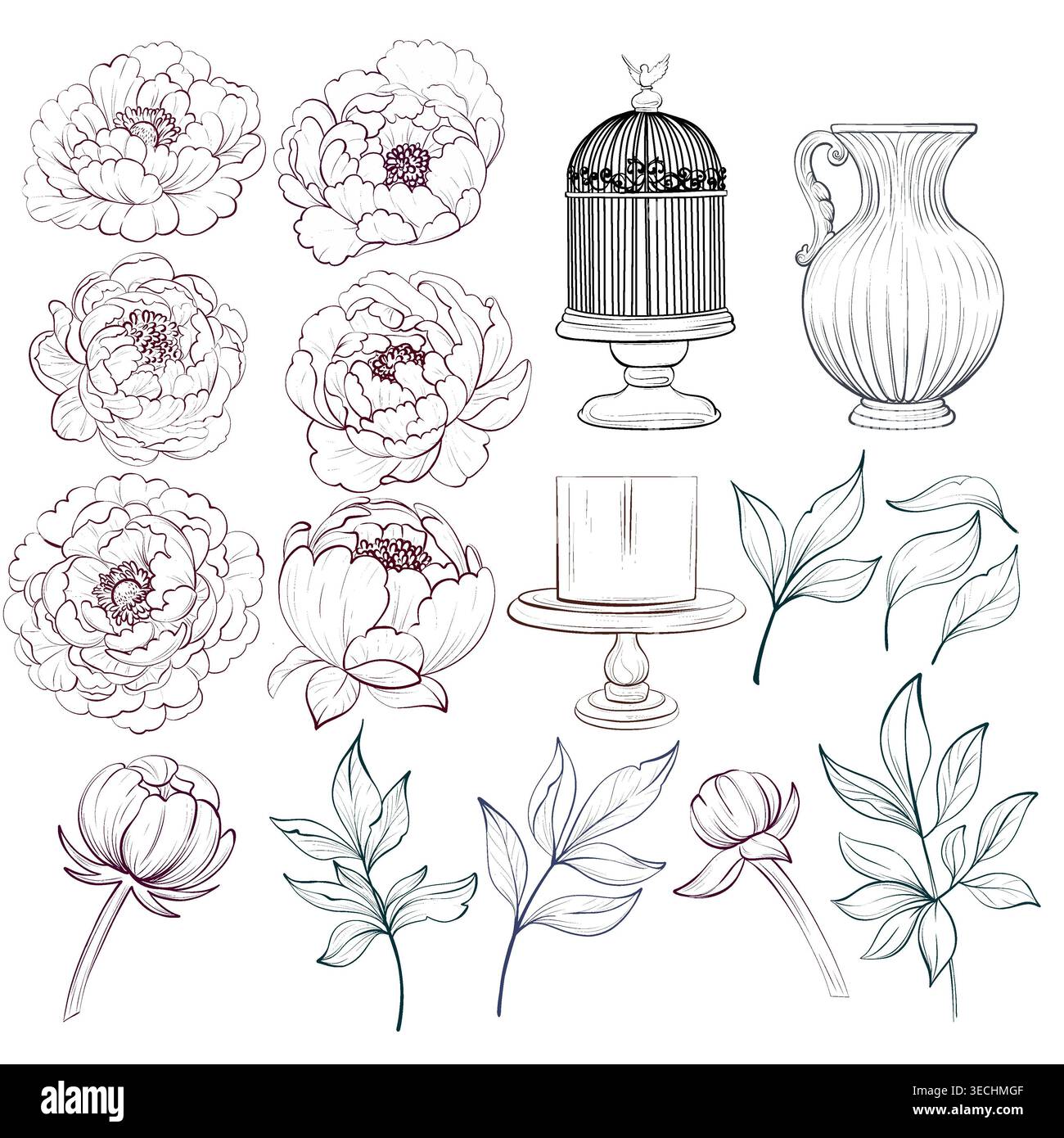 Ensemble floral pivoine avec bourgeons, branches, cage vintage, pichet antique et gâteau. Collection botanique romantique pour la conception de mariage, cartes de voeux, décor Banque D'Images