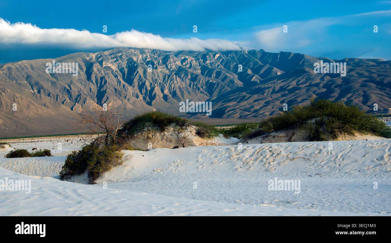 Lumière de coucher de soleil à angle bas illuminant les dunes de gypse de Cuatrociénegas avec les montagnes orientales de la Sierra Madre en arrière-plan, Coahuila, Mexique Banque D'Images