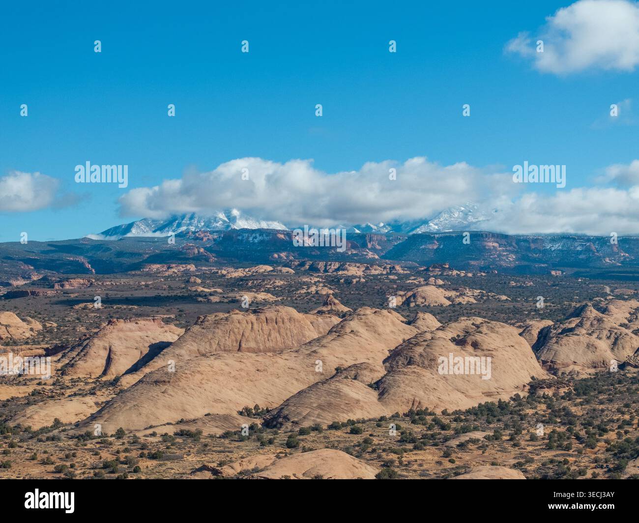 Vue aérienne de vastes formations rocheuses rouges et de plateaux désertiques avec des sommets de montagne enneigés sous un ciel bleu vif. Banque D'Images