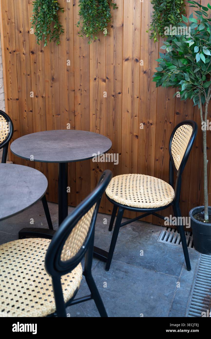 Espace extérieur serein. Patio calme avec éléments naturels et coin salon confortable Banque D'Images