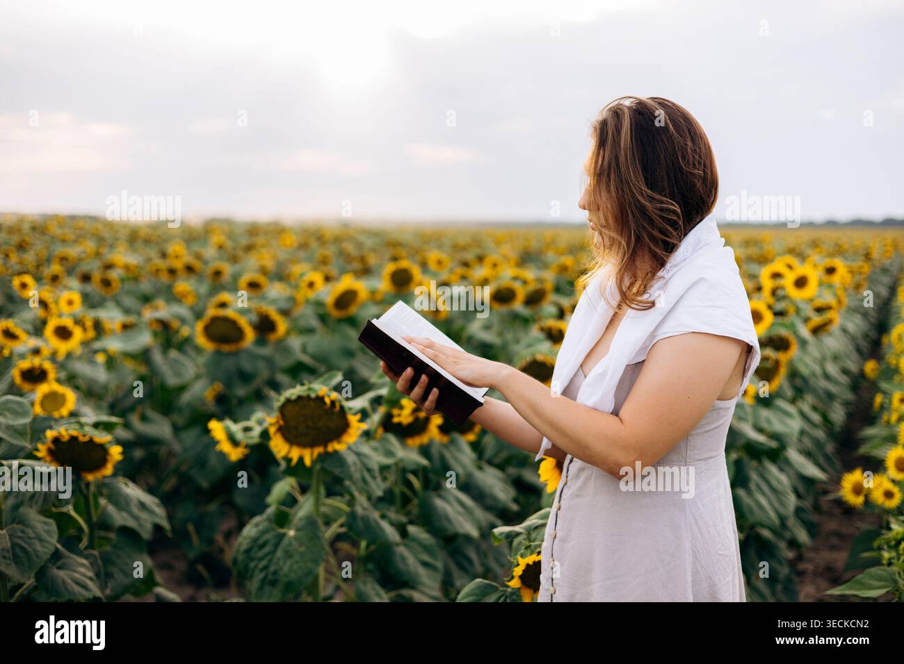 Une femme en robe blanche se tient dans un champ de tournesol au coucher du soleil, lisant la Sainte Bible. Concept pacifique de foi chrétienne avec paysage d'été, espoir, Banque D'Images
