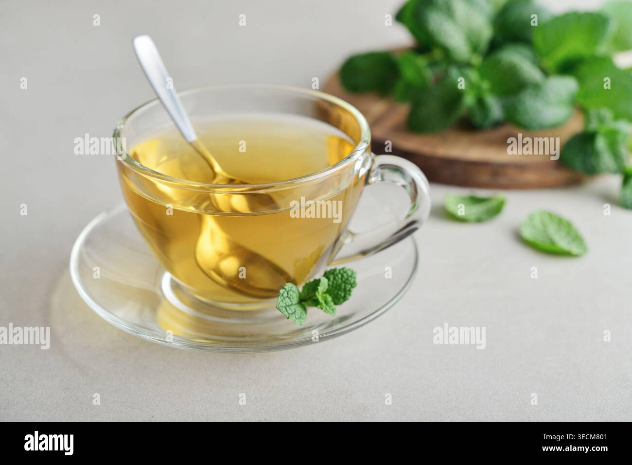 Tasse en verre de thé à la menthe fraîche sur un fond clair avec des feuilles de menthe sur une planche de bois en arrière-plan. Concept de boisson saine à base de plantes, relaxation, a Banque D'Images