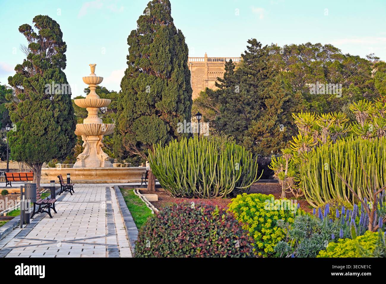 Une vue paisible sur les jardins botaniques Argotti à Floriana, Malte, avec une fontaine en pierre classique à gradins entourée de végétation méditerranéenne luxuriante Banque D'Images