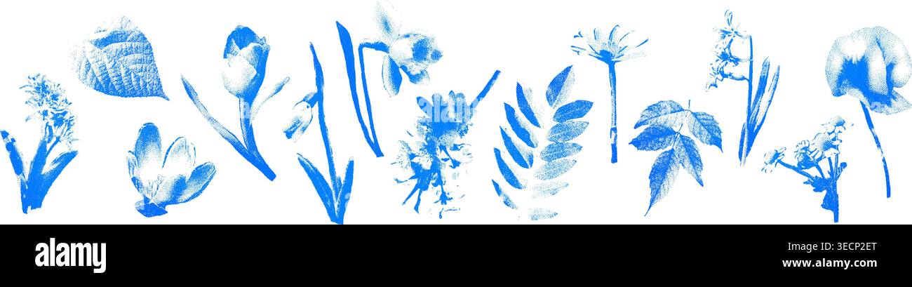 Fleurs demi-teinte feuilles set bleu cyanotype illustration vectorielle Illustration de Vecteur