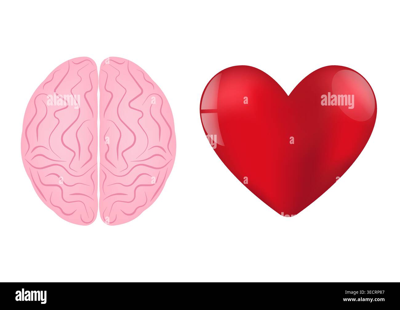 Concept cerveau et coeur. Illustration vectorielle. Illustration de Vecteur