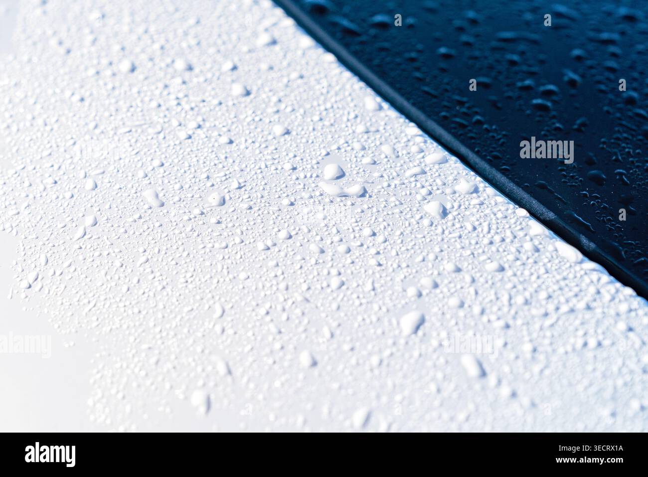 Vue rapprochée de gouttelettes d'eau de pluie sur un capot de voiture blanc propre. Banque D'Images