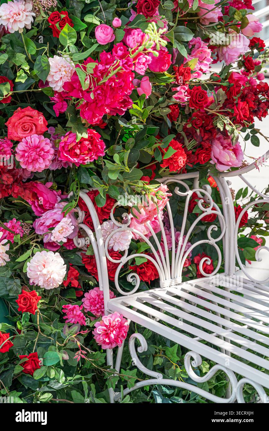 Banc en fer forgé blanc niché dans un mur luxuriant de fleurs de printemps avec des fleurs roses et rouges vives, feuillage vert, et atmosphère de jardin romantique, idéal pour Banque D'Images