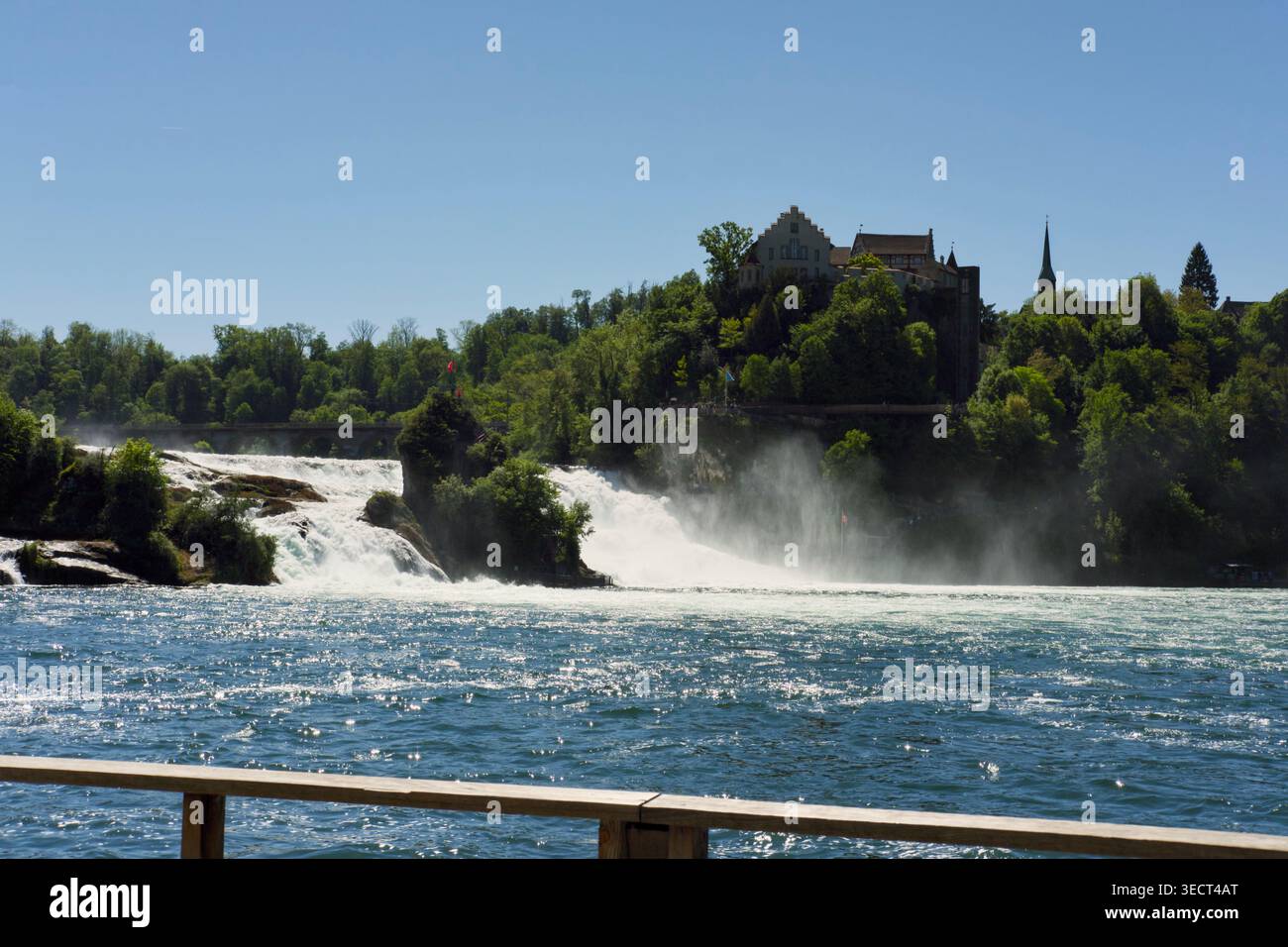 Vue panoramique sur les chutes du Rhin près de Schaffhausen, Suisse, avec une puissante cascade d'eau, la brume et un environnement verdoyant sous un environnement lumineux Banque D'Images