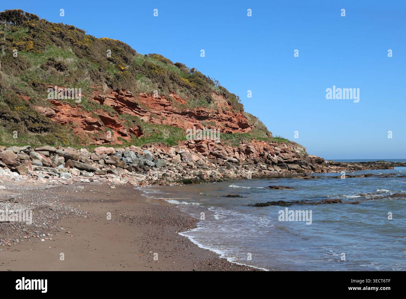 Plage et falaises de grès rouge près de Johnshaven Écosse avril 2026 Banque D'Images