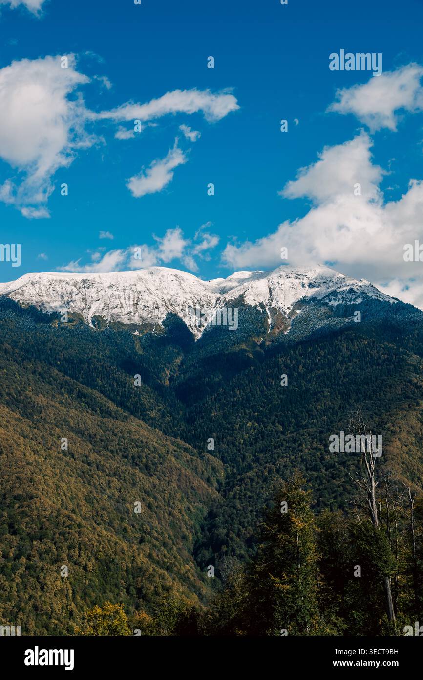 Les montagnes couvertes de neige s'élèvent au-dessus de vallées vertes sous un ciel bleu vif avec des nuages Banque D'Images