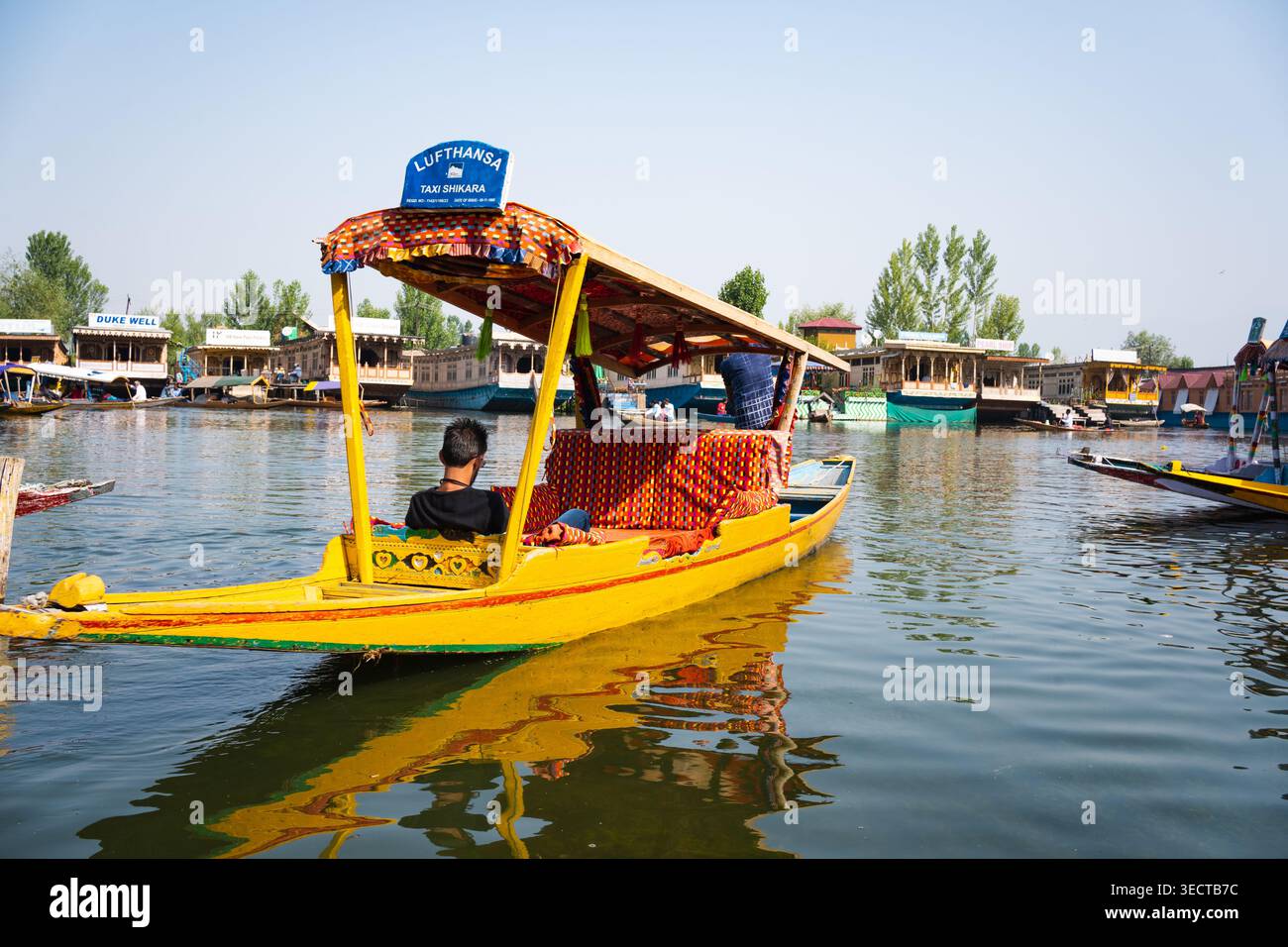 Un bateau shikara jaune traditionnel avec des passagers glisse sur le lac Dal, entouré de péniches. Idéal pour les voyages, le tourisme et les thèmes de style de vie dans Banque D'Images