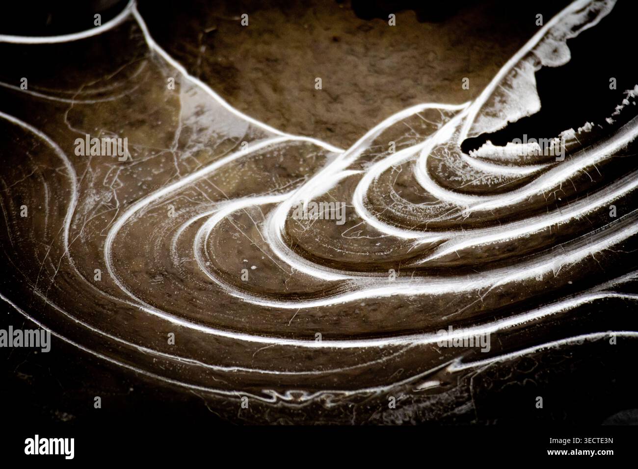 Large macro d'ondulations glacées comme des lignes de contour sur un sol boueux des bords pâles brillent sur des tons bruns formant un abstrait naturel qui fait allusion à la dune des vagues Banque D'Images