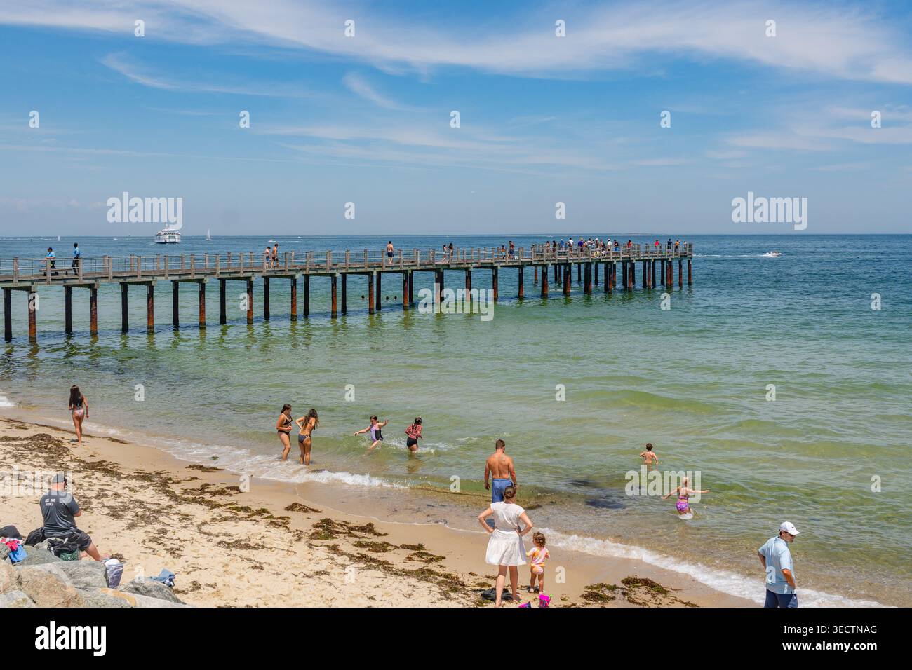 Oak Bluffs, Martha's Vineyard, ma, États-Unis-3 juillet 2025 : le ferry arrive au terminal de l'île et les gens nagent à la plage regardant le ferry. Banque D'Images