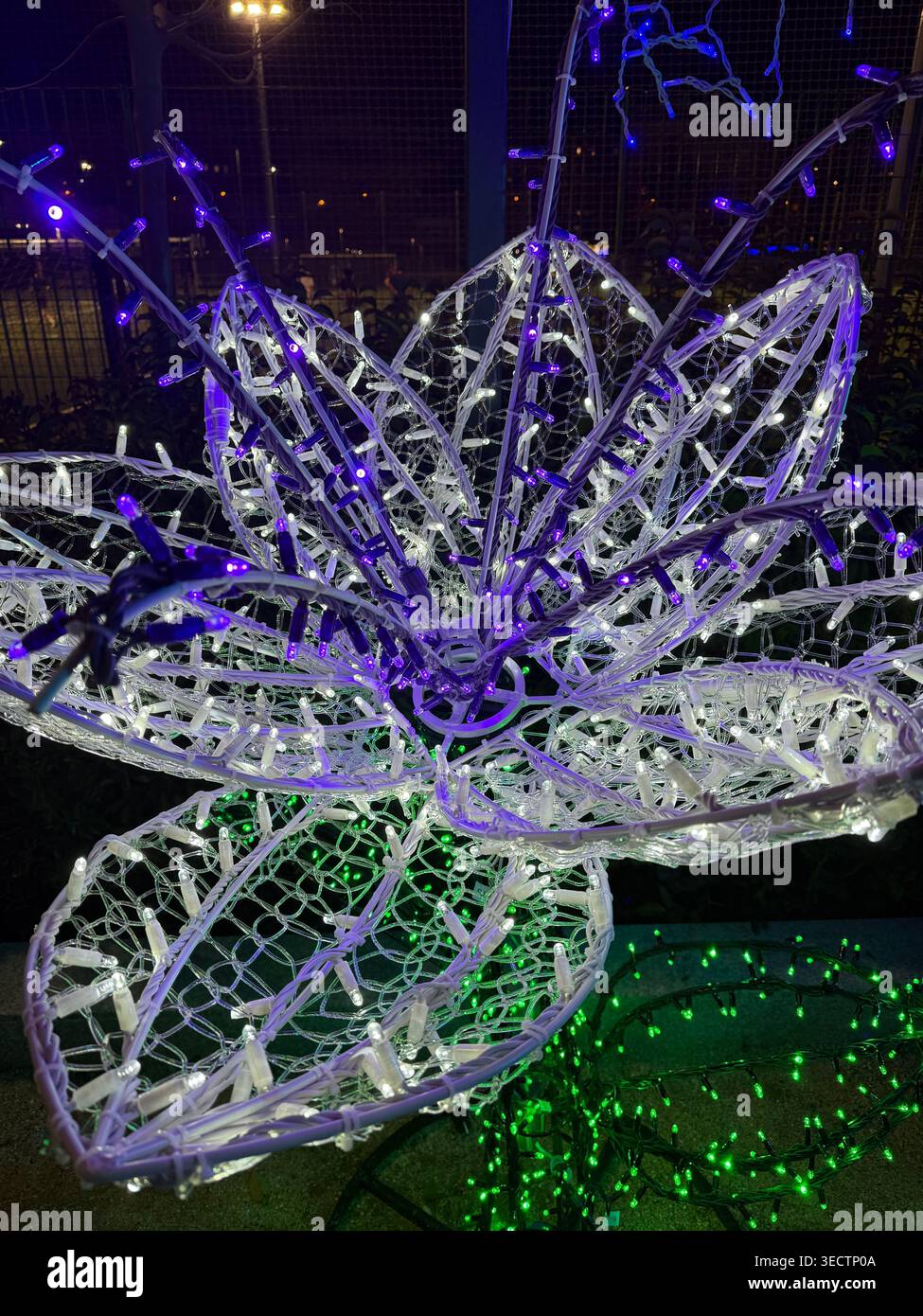 Une photographie rapprochée détaillée à Madrid capture une installation lumineuse de Noël en forme de lis violets illuminée qui brille dans un parc public la nuit - Image de stock capturée avec un smartphone