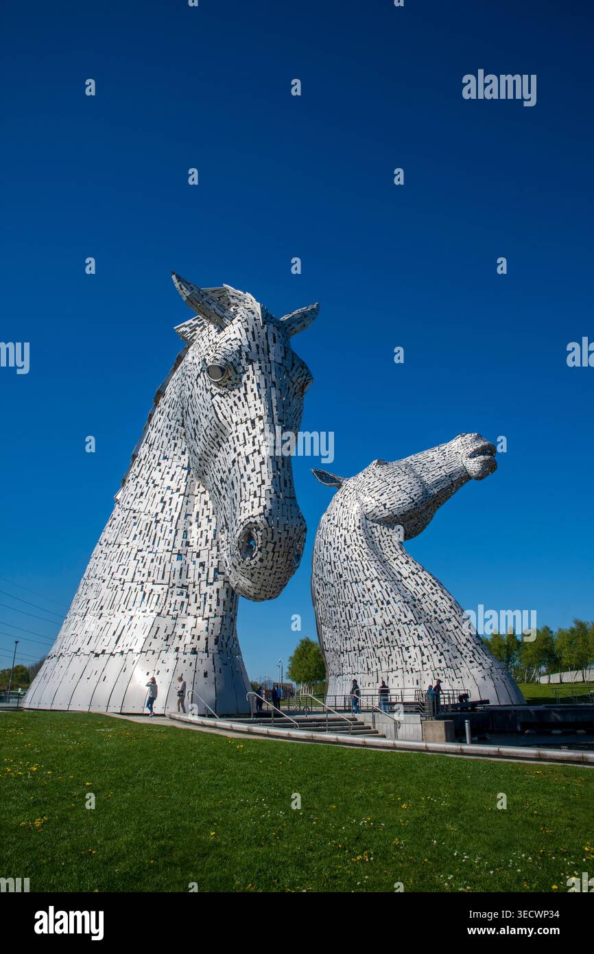 Les Kelpies à Falkirk, en Écosse, sous un ciel bleu ensoleillé. Les sculptures emblématiques de tête de cheval sont un monument écossais majeur de l'artiste Andy Scott Banque D'Images