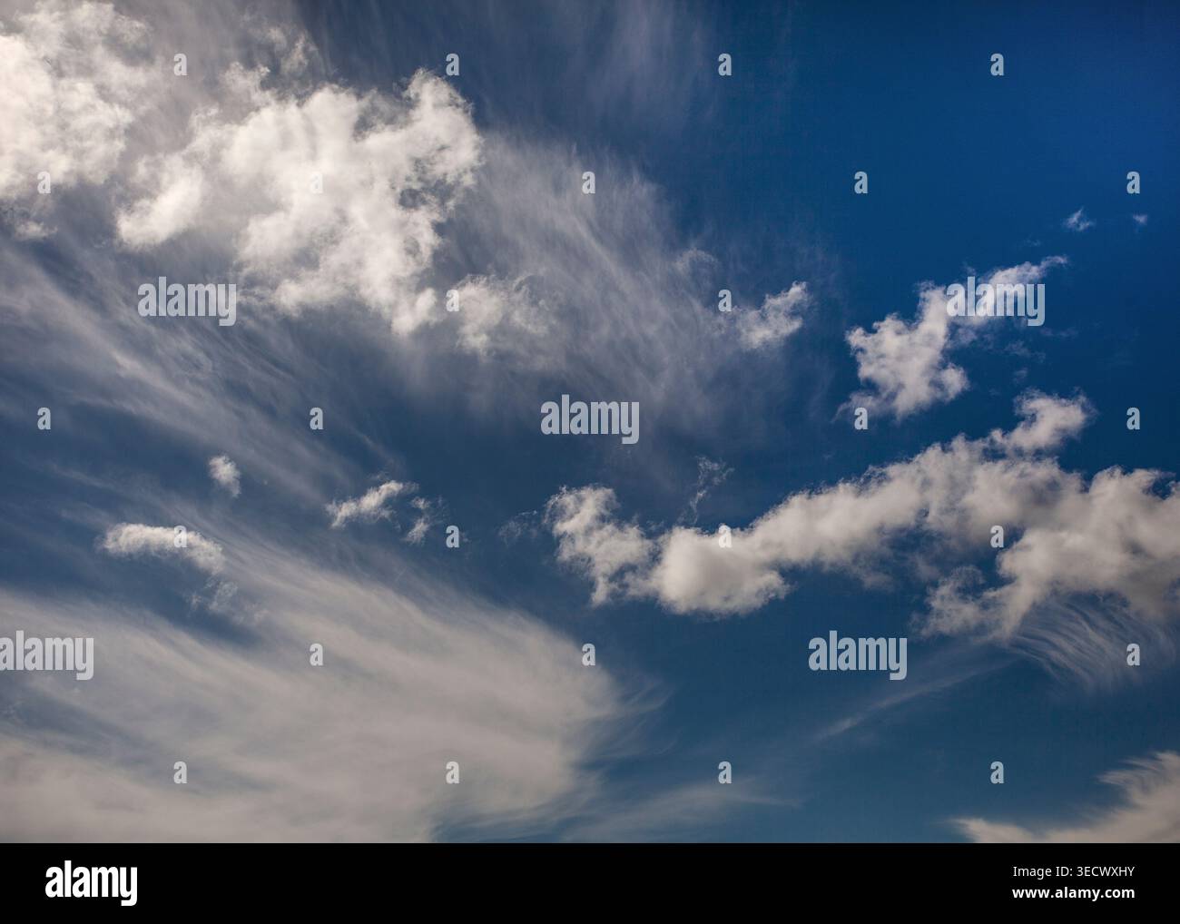 Des mèches de cirrus dérivent à travers un ciel bleu profond tandis que des nuages de cumulus dispersés brillent doucement dans la lumière du soleil au-dessus. Banque D'Images