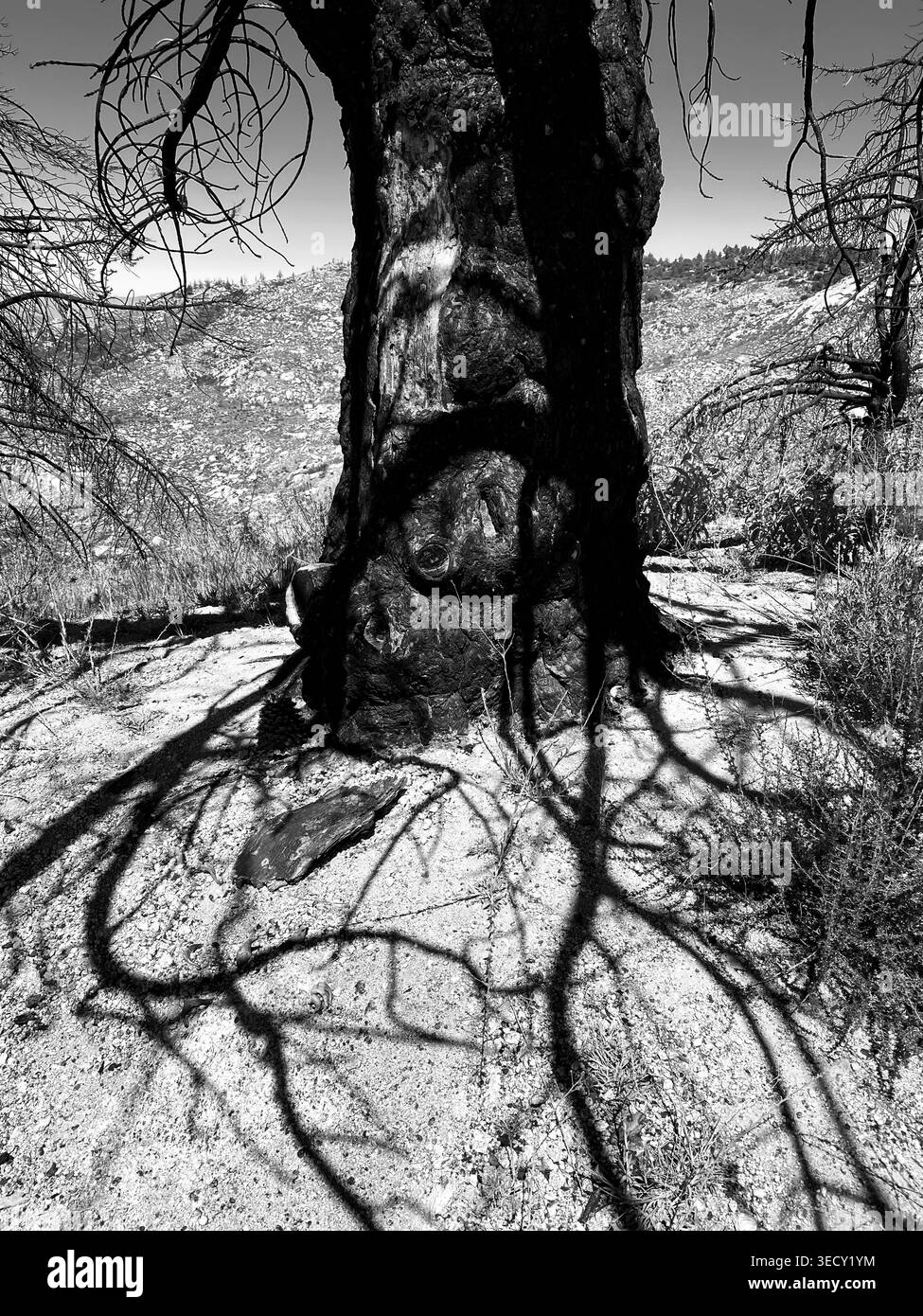 Idyllwild California vues nocturnes et diurnes, le 4 juillet 2021 à Idyllwild California. Photo de Jennifer Graylock-Graylock.com 917-519-7666 Banque D'Images