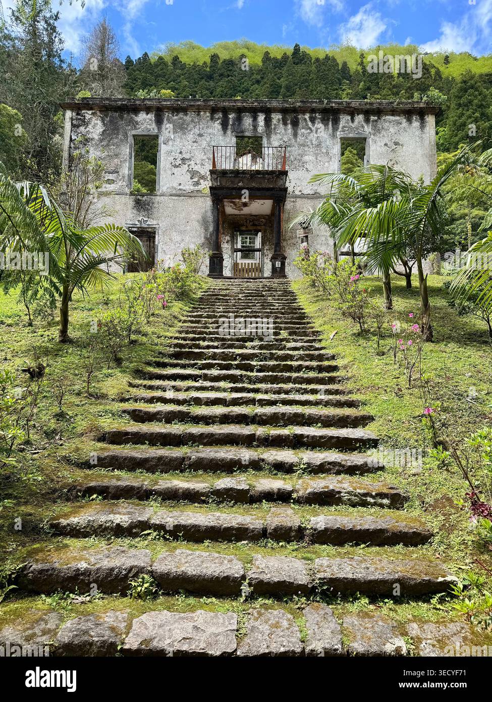 Les ruines historiques en pierre du manoir Grená House du XIXe siècle, encadrées par des marches de pierre et une végétation tropicale dans le Parque Grená, île de São Miguel, Az - Image de stock capturée avec un smartphone
