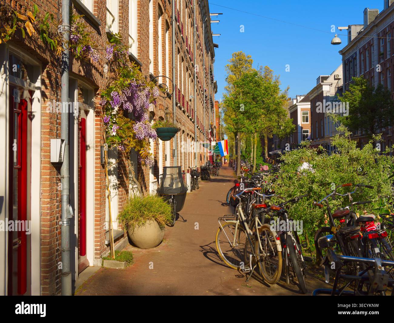 Charmante scène de rue d'Amsterdam avec des vélos garés, architecture traditionnelle en briques et arbres verts Banque D'Images