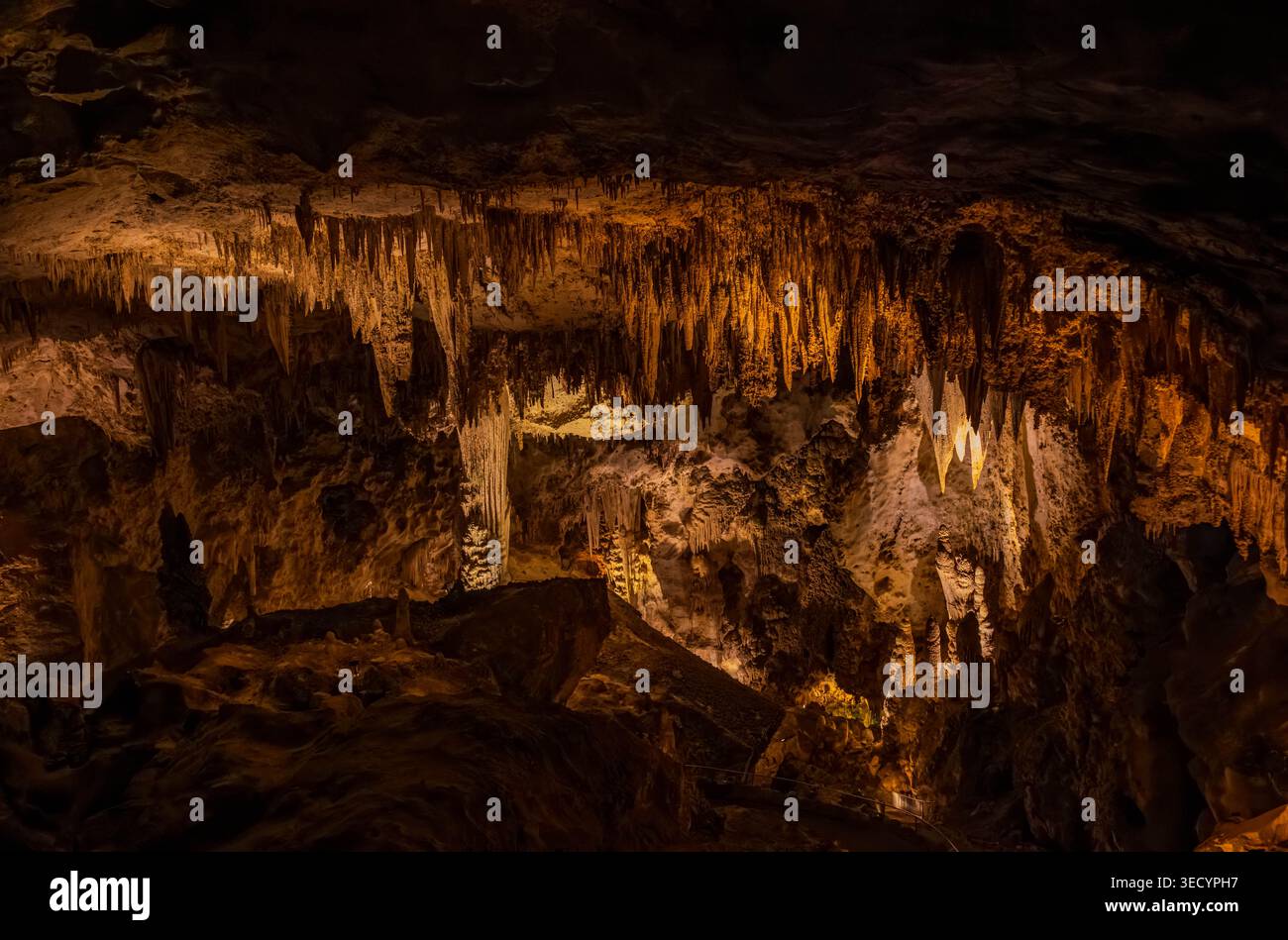 Les stalactites illuminées et les formations rocheuses complexes créent une atmosphère lumineuse ressemblant à une cathédrale dans les profondeurs sombres de la caverne. Banque D'Images