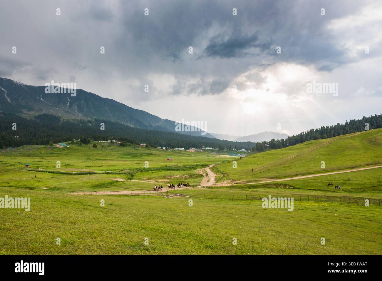 Une vue imprenable sur les vastes prairies verdoyantes de Gulmarg, au Cachemire, avec un chemin de terre, des montagnes lointaines et un ciel nuageux spectaculaire. Banque D'Images