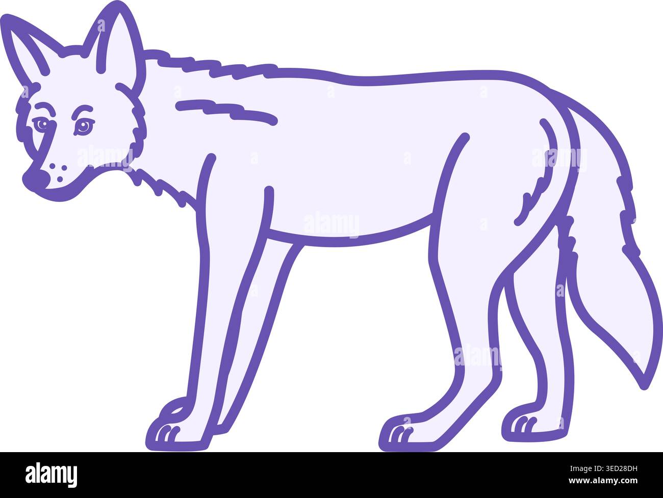 Icône couleur Coyote. Illustration vectorielle. Mammifère prédateur, loup de Prairie. Concept animal Illustration de Vecteur