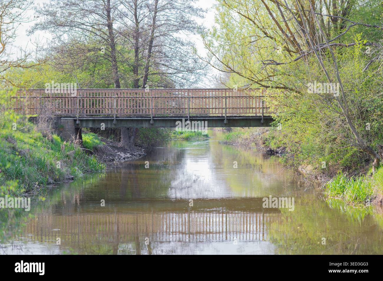 Pont en bois enjambant une rivière calme avec des arbres verdoyants reflétant dans l'eau Banque D'Images