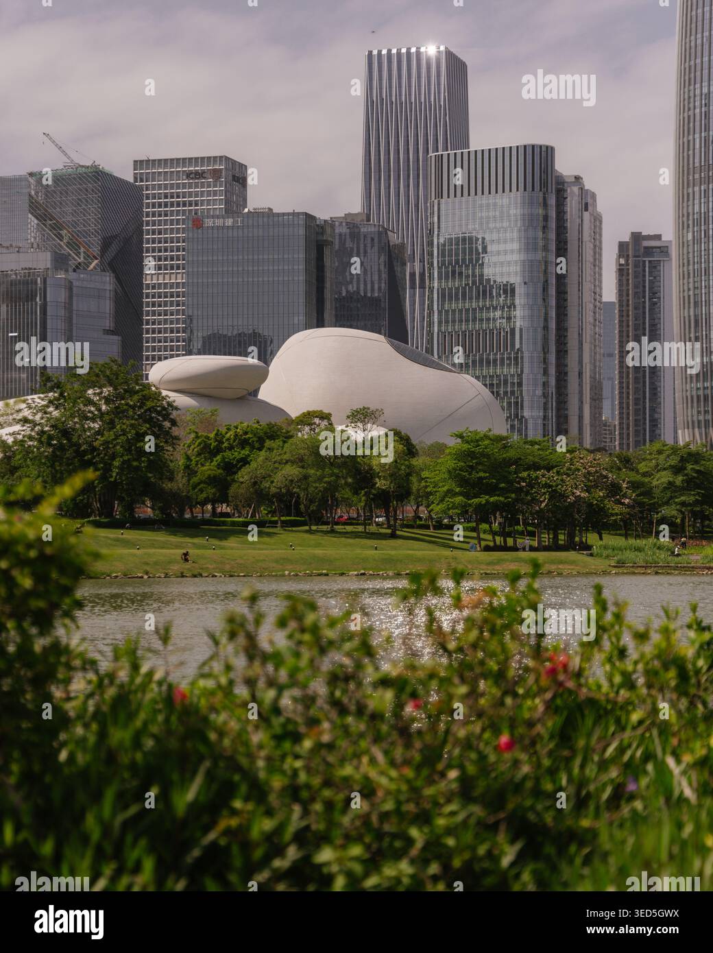 Shenzhen Bay culture Square, musée en bord de baie, vue extérieure avec parc paysager. Architecture design par MAD Architects. Banque D'Images