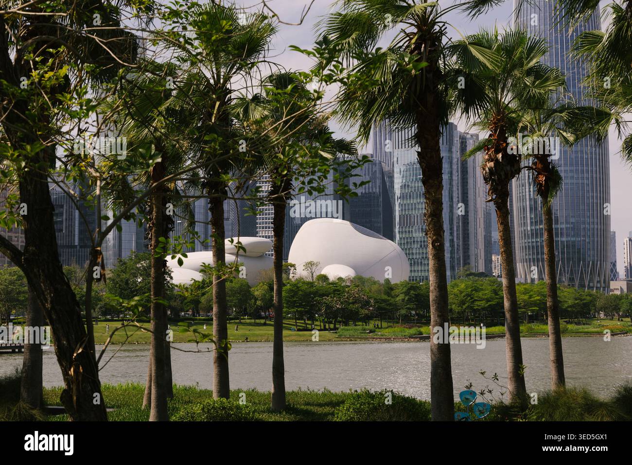 Shenzhen Bay culture Square, musée en bord de baie, vue extérieure avec parc paysager. Architecture design par MAD Architects. Banque D'Images