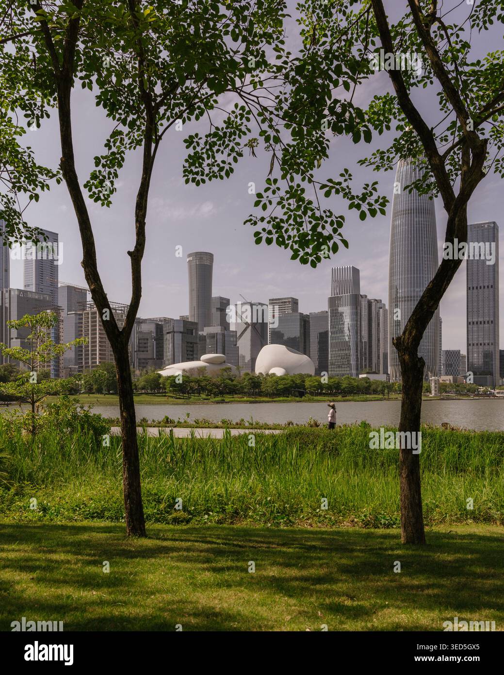 Shenzhen Bay culture Square, musée en bord de baie, vue extérieure avec parc paysager. Architecture design par MAD Architects. Banque D'Images