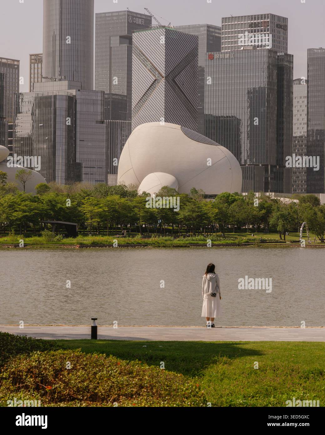 Shenzhen Bay culture Square, musée en bord de baie, vue extérieure avec parc paysager. Architecture design par MAD Architects. Banque D'Images