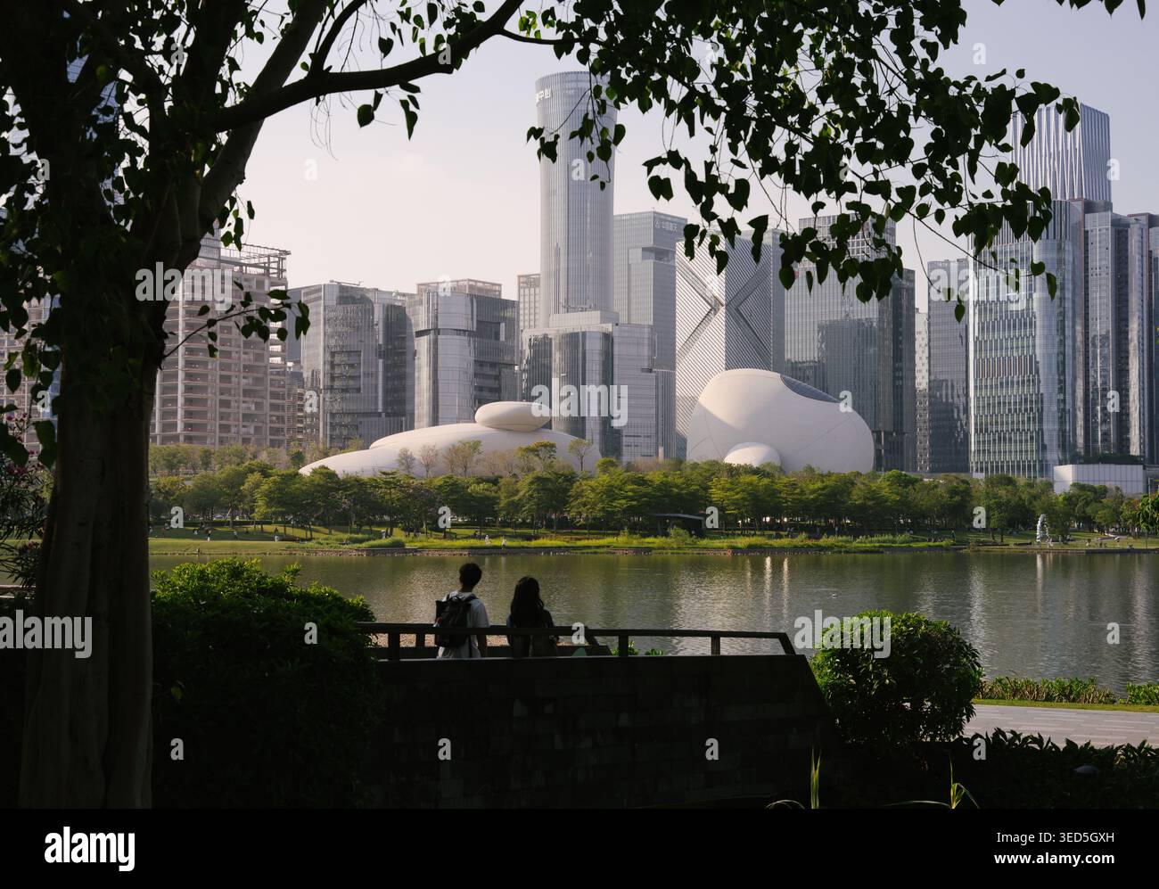 Shenzhen Bay culture Square, musée en bord de baie, vue extérieure avec parc paysager. Architecture design par MAD Architects. Banque D'Images
