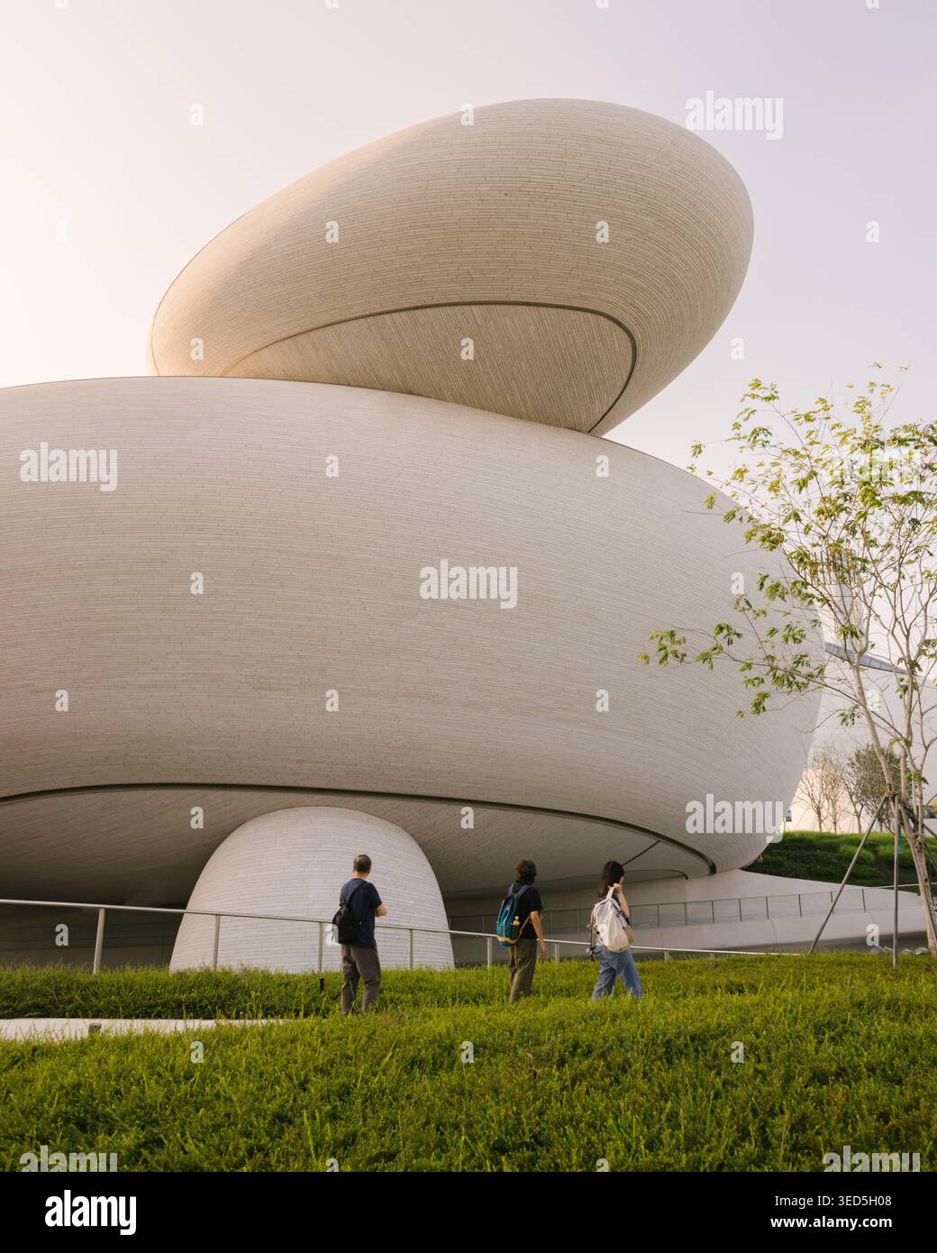 Shenzhen Bay culture Square, musée en bord de baie, vue extérieure avec parc paysager. Architecture design par MAD Architects. Banque D'Images