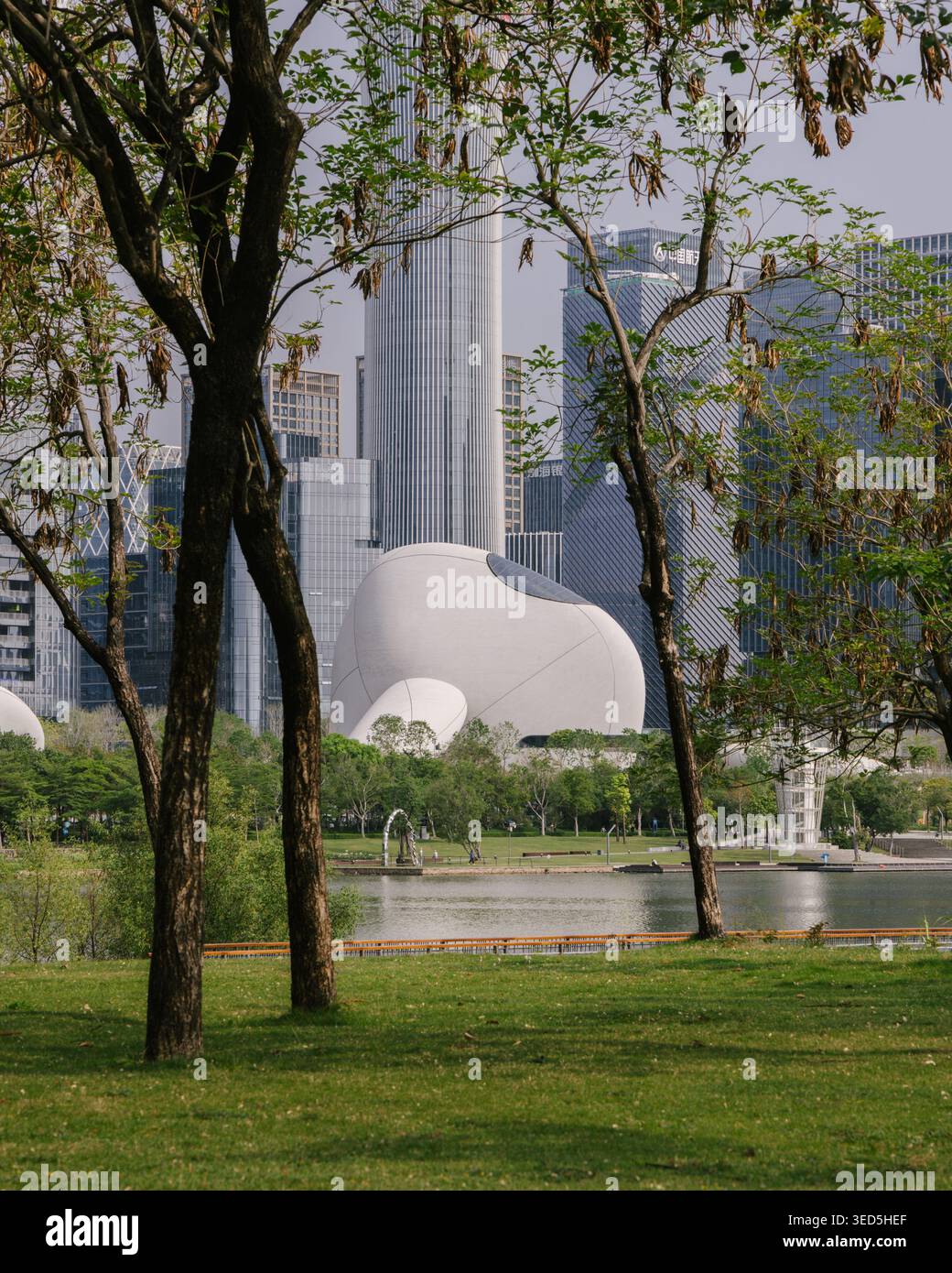 Shenzhen Bay culture Square, musée en bord de baie, vue extérieure avec parc paysager. Architecture design par MAD Architects. Banque D'Images